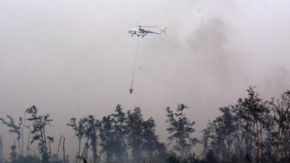 Kebakaran Lahan Gambut di Muaro Jambi Akhirnya Bisa Dipadamkan