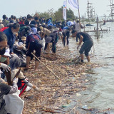 Pemkot Semarang Bersih-Bersih Sampah di Pesisir Pantai Tambakrejo, Ribuan Orang Berpartisipasi