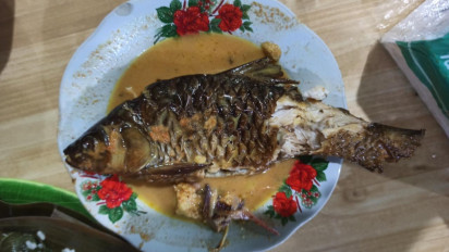 Icip-Icip Gulai Tapau Ikan Palau, Kuliner Bengkulu yang Wajib Dicoba