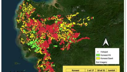 Temuan  7.376 Titik Api di 235 Konsesi Sawit dan HTI di Kalbar, Walhi: Minim Proses Hukum