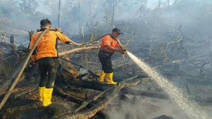 5 Lokasi Hutan Kaltim Alami Kebakaran, Tim Gabungan Penajam Paser Utara Berjibaku Padamkan Api