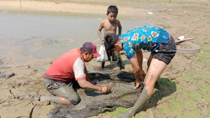 Embung Seloparang Blora Mengering Akibat Kemarau Panjang, Dimanfaatkan Warga Mencari Ikan