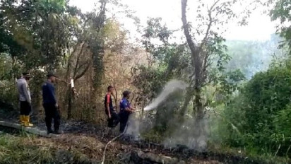 Diduga Akibat Puntung Rokok, Lahan 1 Hektare di Bendungan Batutegi Lampung Terbakar