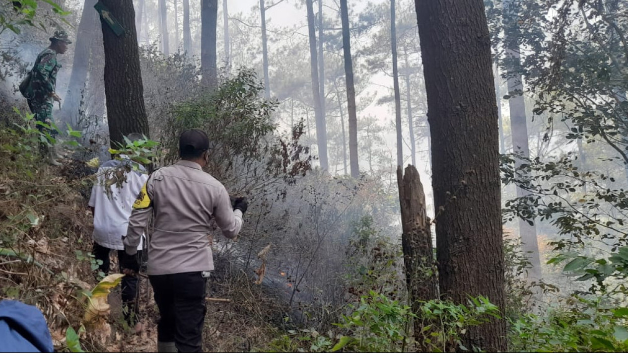 Sinergi Polres Malang, Instansi Terkait dan Relawan Berhasil Padamkan Kebakaran Hutan di Watu Gede
            - galeri foto