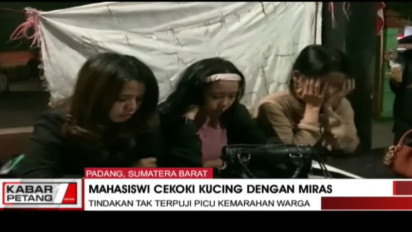 Video Tiga Mahasiswi di Padang Siksa dan Cekoki Kucing Persia dengan Minuman Keras Viral