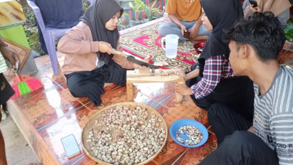 Biji Jambu Mete Ternyata Miliki Nilai Ekonomis Tinggi