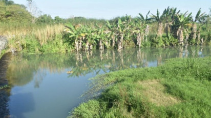 Antisipasi Kekeringan, Petani di Klaten Manfaatkan Bendung Bagor