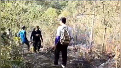 Delapan Hektare Hutan Lindung Gunung Lawu di Ngawi yang Terbakar Berhasil Dipadamkan