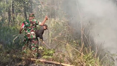 Satu Hektare Hutan Pinus Milik Perhutani Terbakar, Asper: Kami Menduga Ada Unsur Kesengajaan