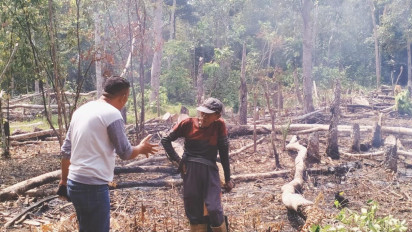 Membahayakan! Ditemukan Petani di Bengkulu Utara Bersihkan Lahan dengan Cara Dibakar