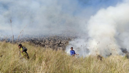 Bukit Teletubbies Gunung Bromo Terbakar, Diduga Ulah Pengunjung