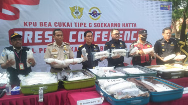 Bea Cukai Soetta Gagalkan Ekspor Benih Bening Lobster Ilegal ke Singapura senilai Rp26,5 Miliar