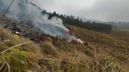 50 Hektare Lahan TNBT Ludes Terbakar, Sektor Wisata Bromo Ditutup Total