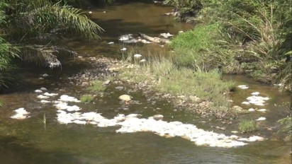 Ratusan Ekor Bangkai Ayam Dibuang ke Sungai Lae Impal Subulussalam, 2 Kabupaten Terancam Tercemar