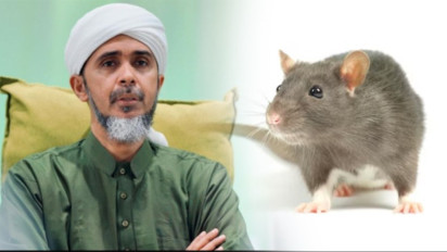 Hati-hati Jika Banyak Tikus di Rumah, Habib Ali Zaenal Abidin Al Hamid Bilang, Ternyata itu Tanda Kalau...