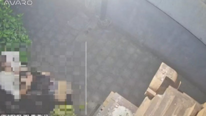 Viral Video Bule dan Wanita Lokal Berhubungan Badan di depan Rumah Warga di Bali