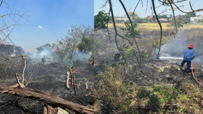 Awal September, 41 Kebakaran Terjadi di Gresik, Hari Ini Hektaran Lahan Terbakar di ABR