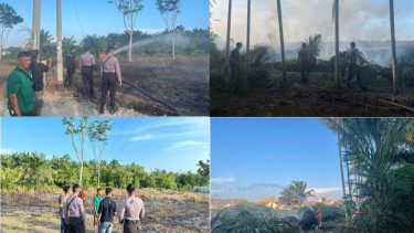 Kebakaran Lahan dan Hutan Melanda Bengkulu, BPBD dan Instansi Terkait Bergerak Cepat