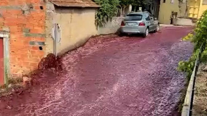 Heboh Tumpahan 2,2 Juta Liter Wine Banjiri Jalanan di Portugal