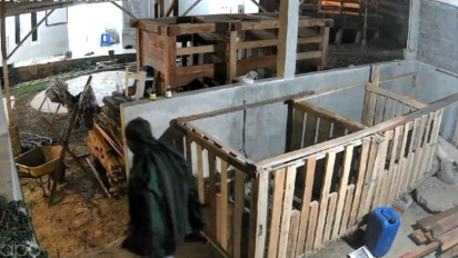 Polisi Cianjur Tangkap Komplotan Pencuri Domba