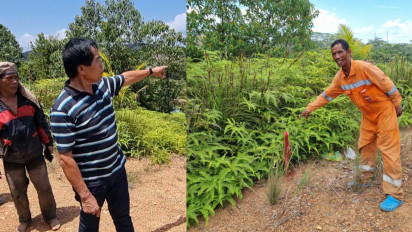 Pemilik Kebun Kaget, Tim Terpadu BP Batam Pasang Patok Jalan Menuju Relokasi