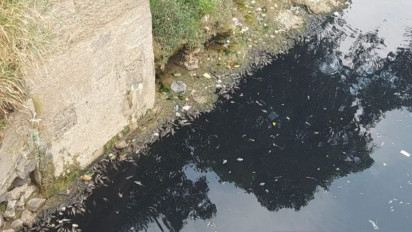 Warga Undang Terbuka Bupati Bogor Soal Sungai Cileungsi Menghitam