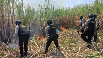 Diduga Akibat Puntung Rokok, Lahan Tebu di Kudus Terbakar