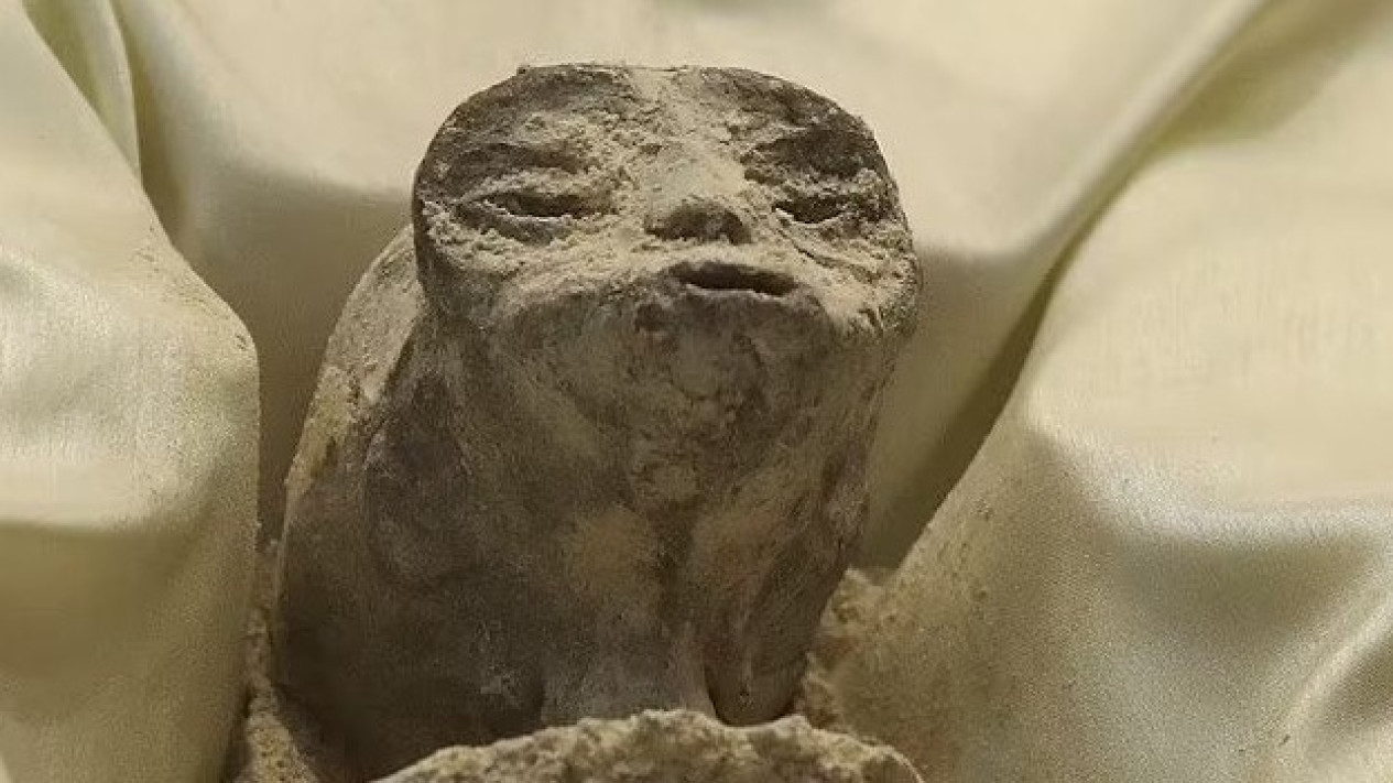 Penampakan Alien Meksiko, Ini Ciri-cirinya: Berjari 3 dan Tanpa Gigi
            - galeri foto