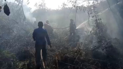 Karhutla di Kabupaten Pali: 131 Titik Hotspot Terpantau dalam Kondisi Aman