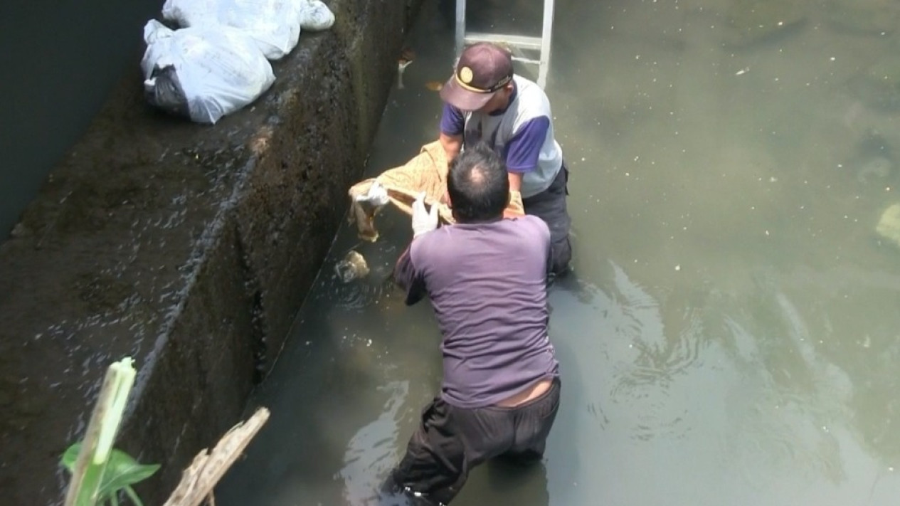 Temuan Jasad Bayi Kembar di Sungai, Pemkab Sleman Cemaskan Penurunan Moral Masyarakat
            - galeri foto