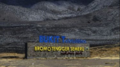 Dinyatakan Sudah Padam Semua, Luas Area Kebakaran Gunung Bromo Mencapai 504 Hektar