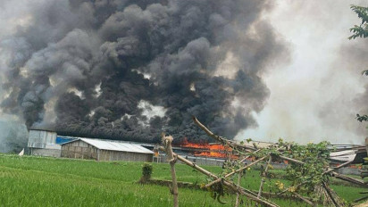 Kandang Ayam di Malang Terbakar Hebat, Ribuan Ayam Potong Mati Terpanggang