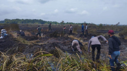 Kebakaran Lahan Hebat Terjadi di Pulau Enggano Bengkulu, Pemadaman Dilakukan dengan Alat Seadanya