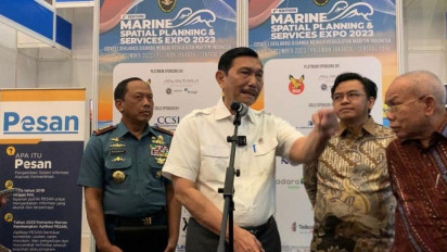 Luhut Binsar Pandjaitan: Ada Potensi Bagus di Pulau Rempang, Nanti Mau Bikin Fotovoltaik