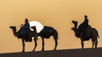 Kisah Pengalihan Lahan oleh Sahabat Nabi SAW, Khalifah Umar bin Khattab