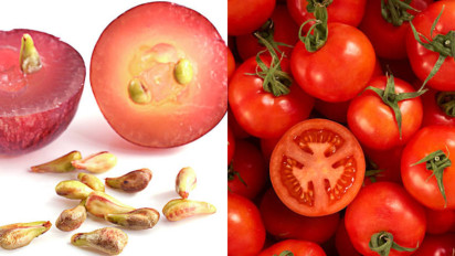 Usia Anda Sudah 40 Tahun? Ingin Bebas Kanker dan Penyakit Jantung, dr Cahyono Bilang Sebaiknya Anda Konsumsi...