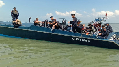 DJBC Khusus Kepri, Amankan 120 Ribu Baby Lobster Selundupan, Dengan Nilai Rp 18 Miliar