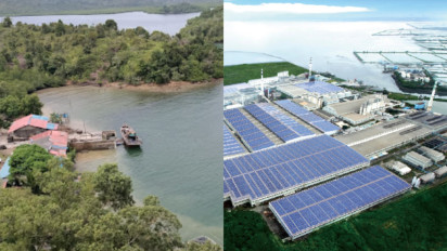 Potensi Dahsyat Bahan Alam Pulau Rempang, Perusahaan China Rela Investasi Triliunan Karena Kandungan...