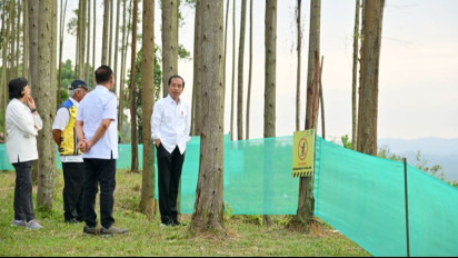 Presiden Joko Widodo Akan Melakukan Peletakan Batu Pertama Pembangunan Sejumlah Infrastruktur di IKN