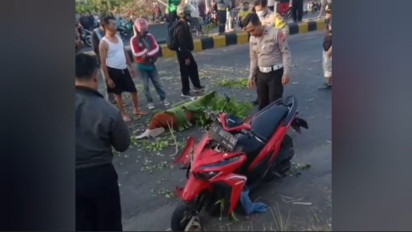 Pengendara Motor di Kota Madiun Tewas Usai Tertimpa Pohon Roboh