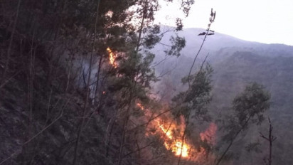 Hutan di Kawasan Lereng Gunung Merbabu Boyolali Terbakar