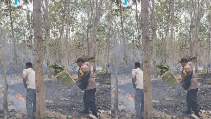 Kemarau, Hutan Jati Milik Perhutani di Banyuwangi Terbakar