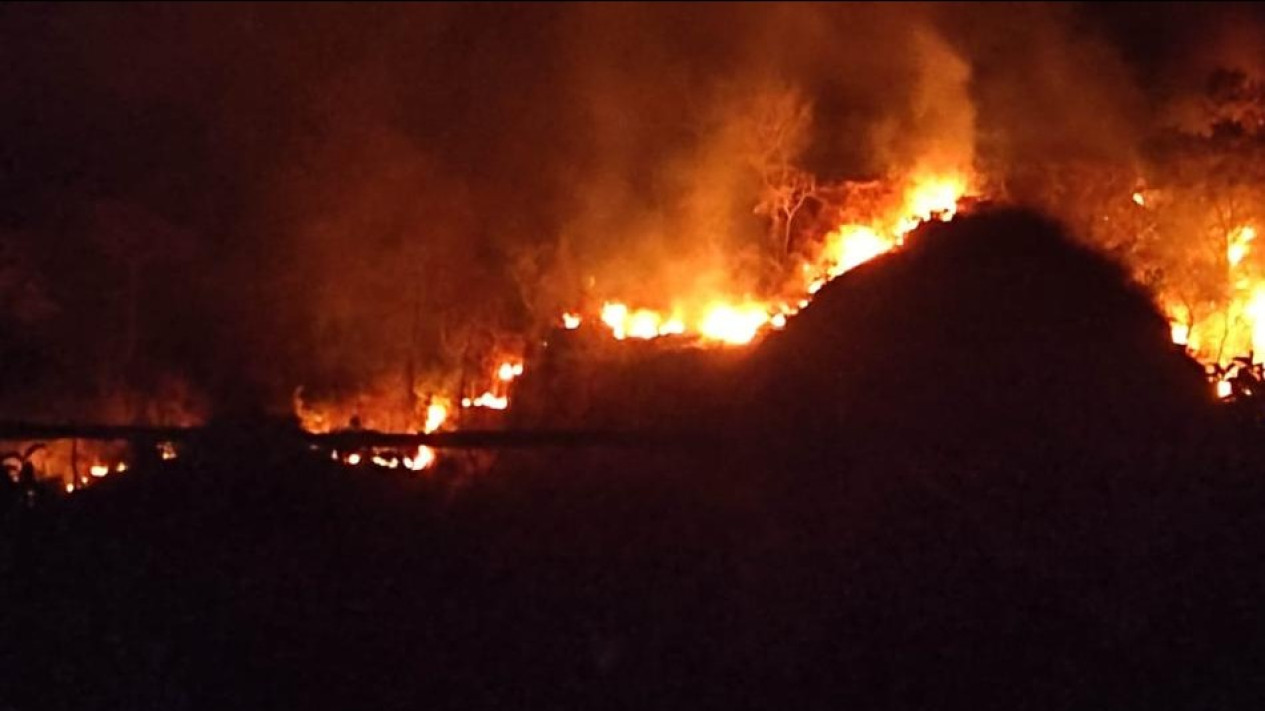 Kebakaran Terjadi di Lereng Gunung Jayanti Sukabumi, Tim Gabungan Mulai Membuka Jalur Pemadaman
            - galeri foto