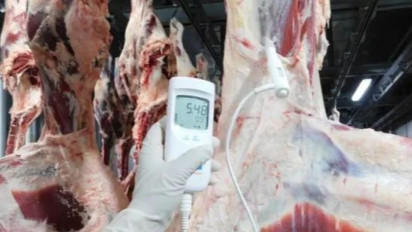 Jelang Ramadhan, Harga Daging Kerbau Melonjak Drastis, Bapanas Beberkan Penyebabnya