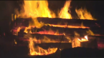 Ribuan Glondongan Kayu Mahoni di TPK Perhutani Ngawi Terbakar Dampak Kebakaran Lahan