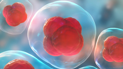 Ini Dia Pentingnya Sel Punca Untuk Membantu Terapi Pengobatan Leukemia