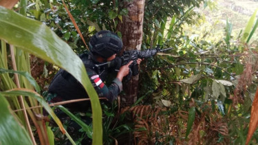 Aparat Tembak Mati Anggota KST Papua Pegunungan Bintang Usai Bakar Pasar