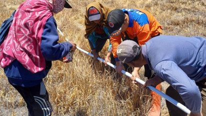 Pasca Kebakaran Lahan Akibat Flare, Perbaikan Pipa Air Bersih di Lereng Bromo Dikebut
