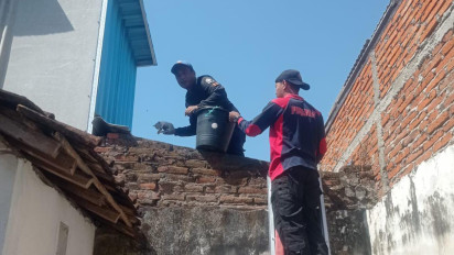 Terjebak di Saluran Air, Penyelamatan 4 Ekor Kucing di Banyuwangi Berlangsung Dramatis