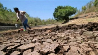 Hutan Hujan Amazon Kering, Brazil Umumkan Keadaan Darurat